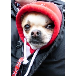 Bracelets bien être