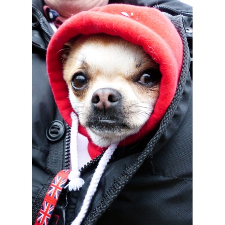 Bracelets bien être